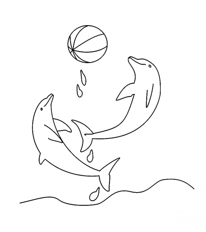 Top  Free Printable Dolphin Coloring Pages Online