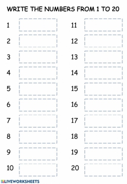 Number Writing Check-In