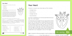 Your Heart
