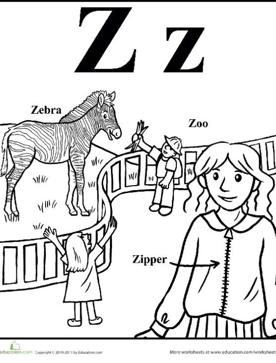 Z Is For Zookeeper