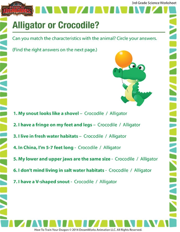 Alligator Or Crocodile Worksheet  Rd Grade Printable  Sod