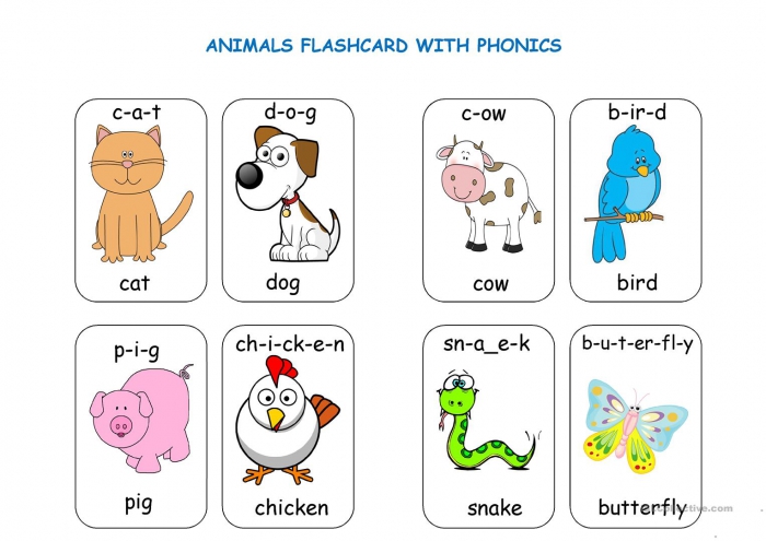Animal Flashcards With Phonics