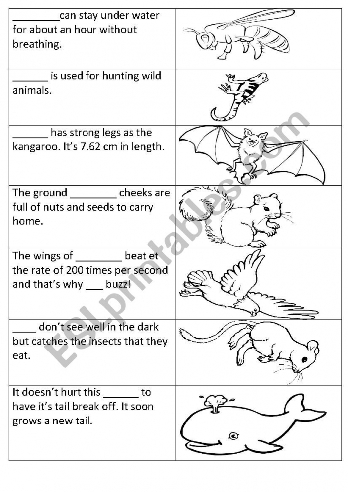 Animal Breaths Worksheets | 99Worksheets Animal Breaths Worksheets | 99Worksheets