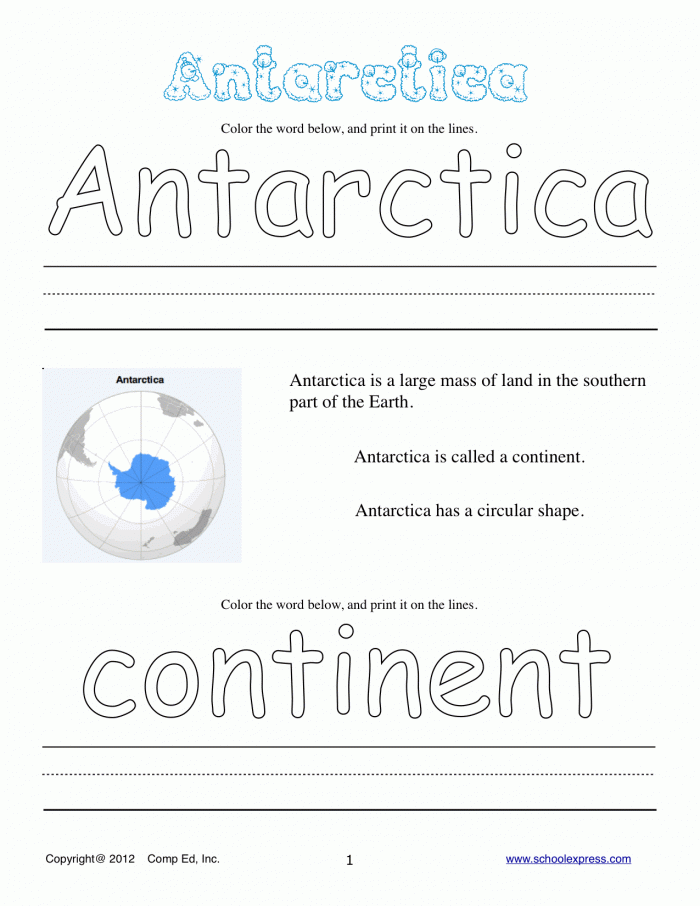Animals Of Antarctica Worksheet