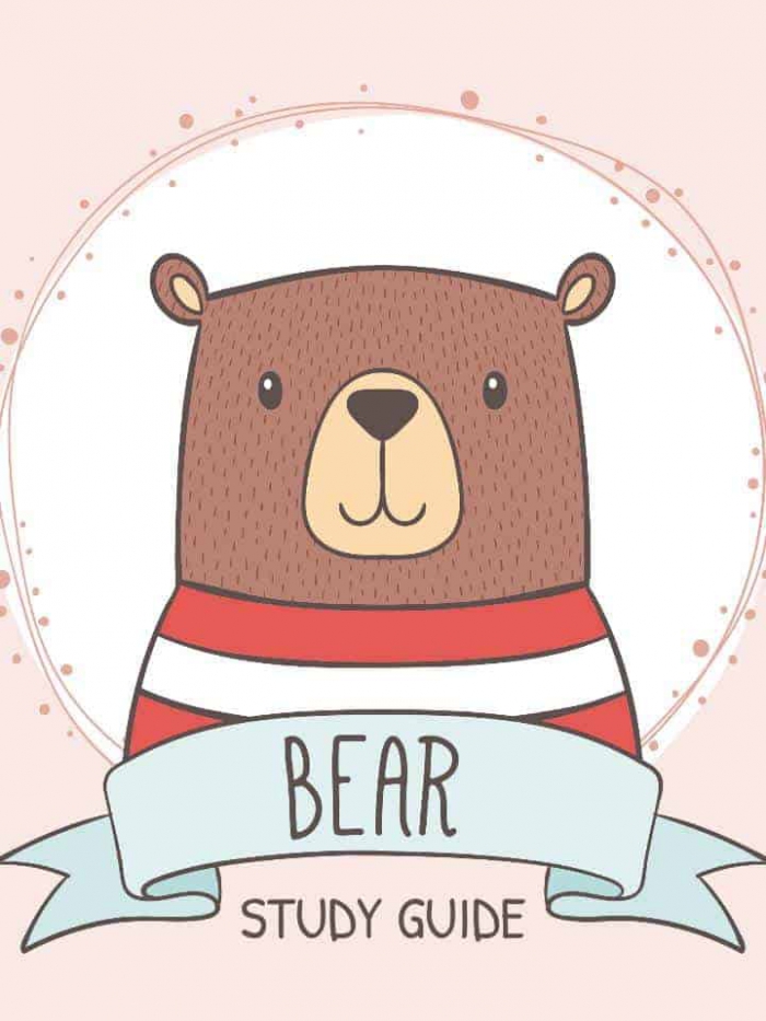 Bear Facts  Information   Worksheets