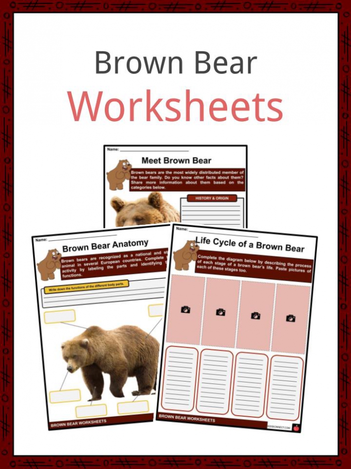 Grizzly Bear Facts Worksheets | 99Worksheets
