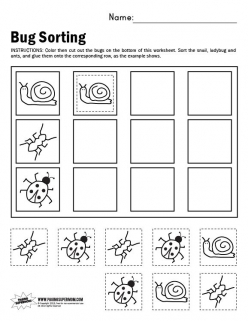 Picture Categorization