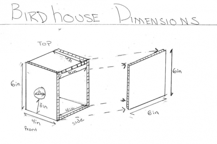 Build A Birdhouse