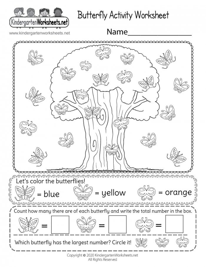 Butterfly Activity Worksheet