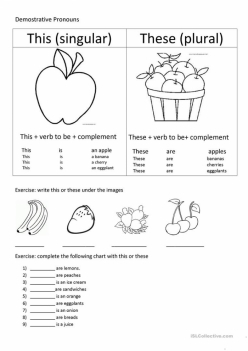Demonstrative Adjectives