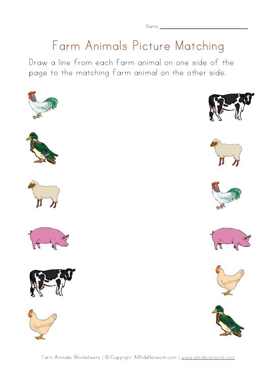 Farm Animals Picture Matching Worksheet