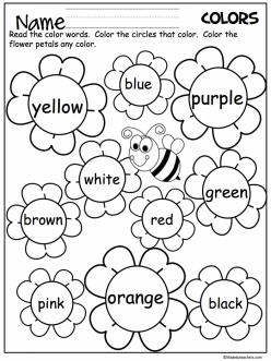 Flower Color By Word
