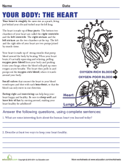 Awesome Anatomy: Follow Your Heart