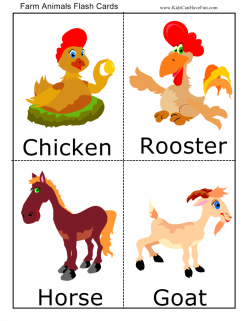 Animal Flashcards