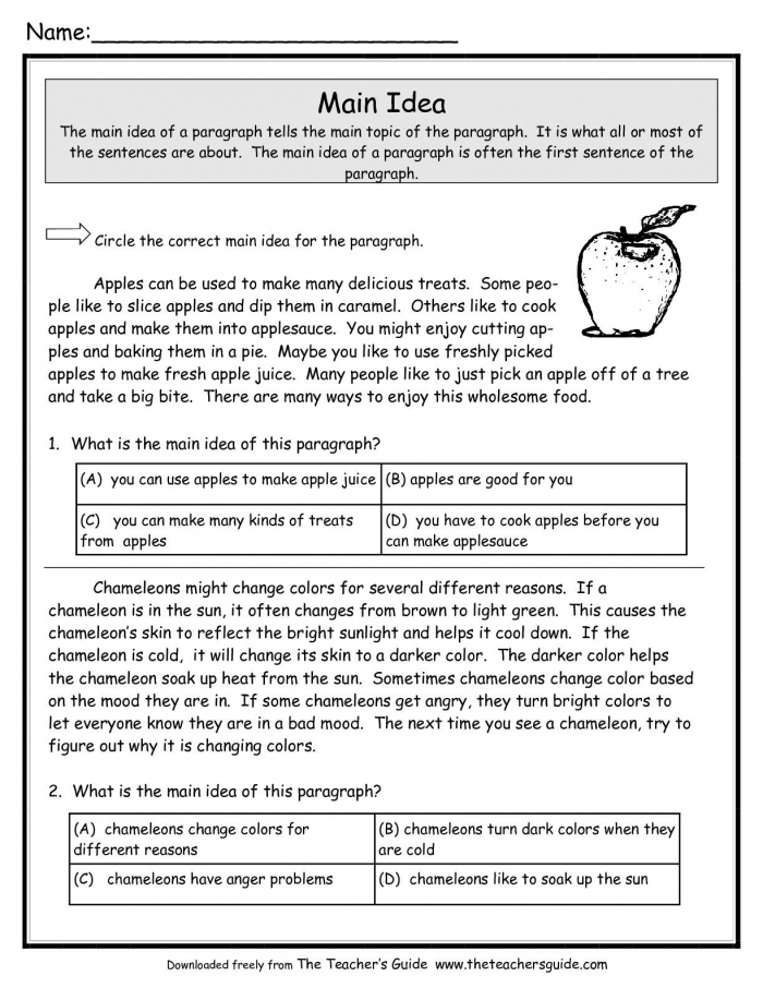 Main Idea Worksheets From The Teachers