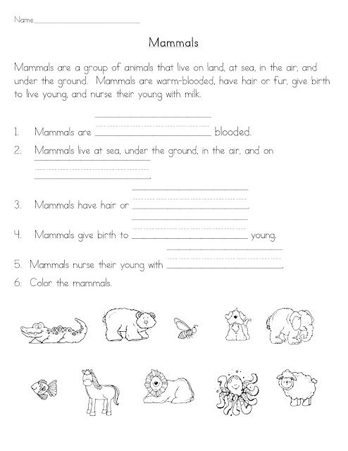Mammals