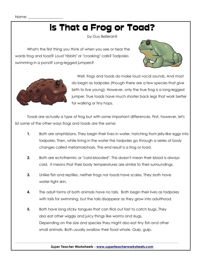 Name Is That A Frog Or Toad