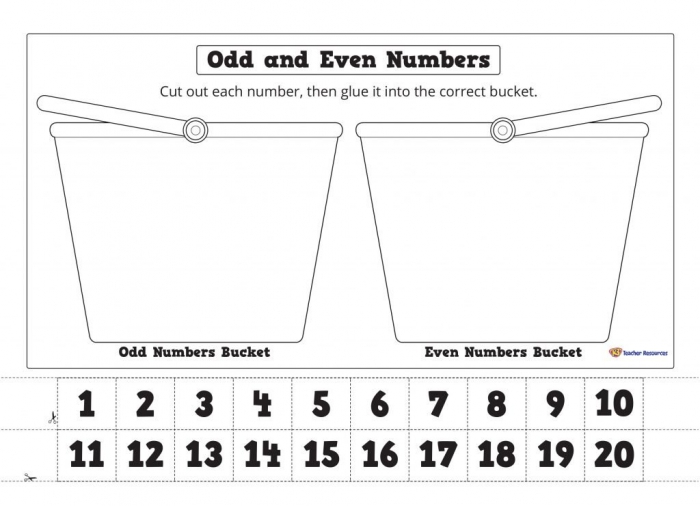 Sorting Odd And Even Numbers Worksheets 99Worksheets