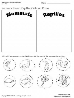 Mammals For Kids