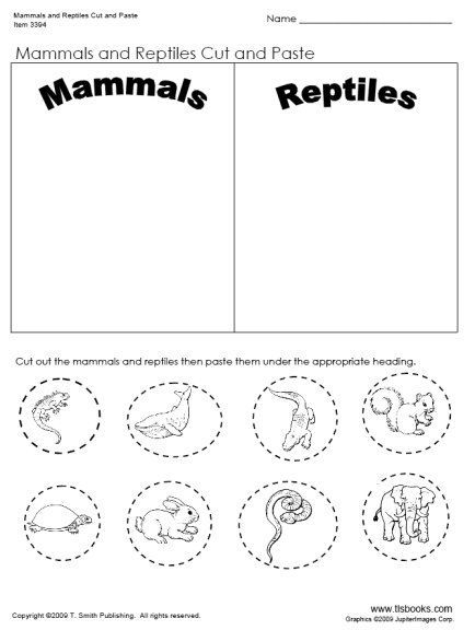 mammals-for-kids-worksheets-99worksheets