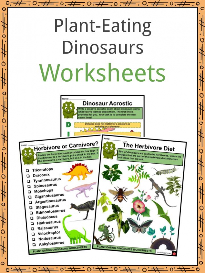 Plant Matters: What Plants Need Worksheets | 99Worksheets