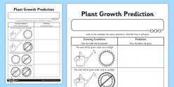 How Plants Grow