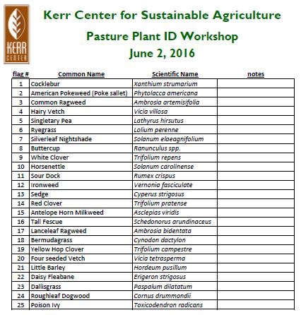 Plant Identification Worksheet