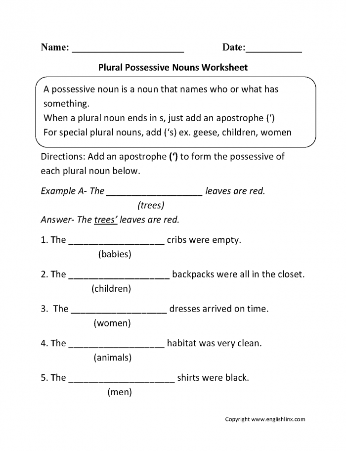 Singular Possessive Nouns Worksheet Answers