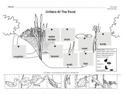 Prefix Pond