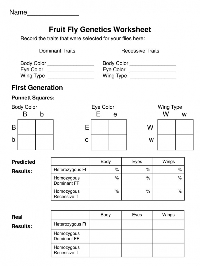 dominant and recessive traits