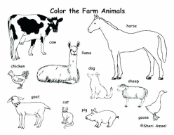 Animal Habitats Coloring