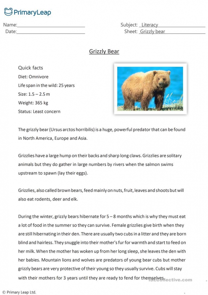 Grizzly Bear Facts Worksheets | 99Worksheets