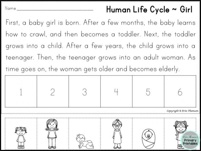 Sequencing Stories  Human Life Cycle