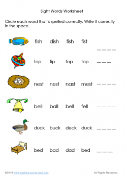 Sight Words Spelling Quiz