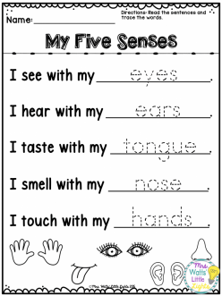 Glossary: Five Senses Mystery Bags