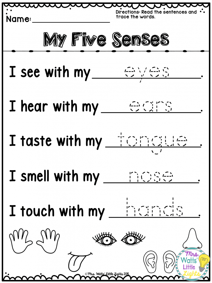 Vocabulary Cards Five Senses Mystery Bags Worksheets