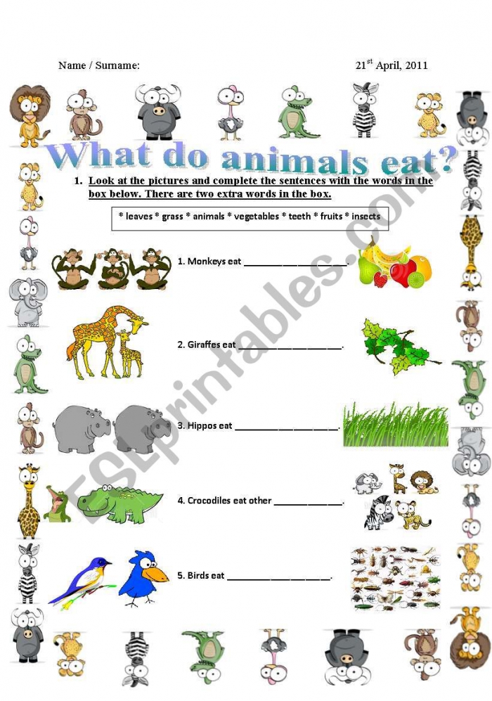 What Do Animals Eat