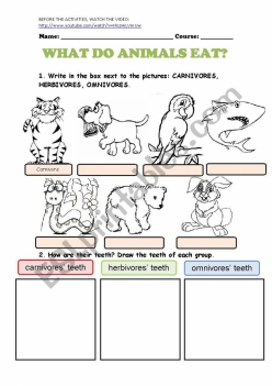 What Do Animals Eat? #1