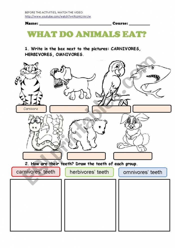 What Do Animals Eat? 1 Worksheets 99Worksheets