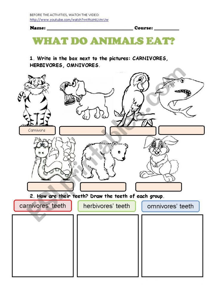 What Do Animals Eat? #1 Worksheets | 99Worksheets