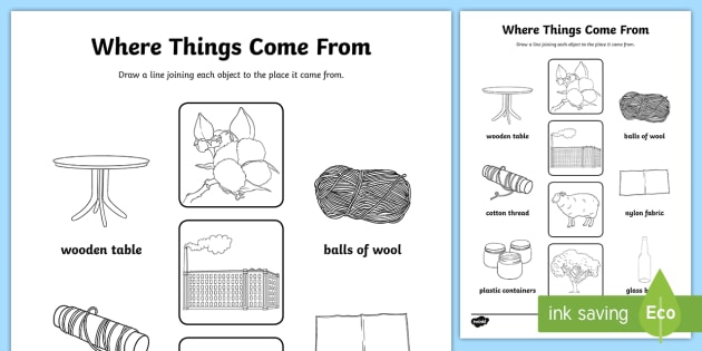 Where Things Come From Worksheet Teacher Made