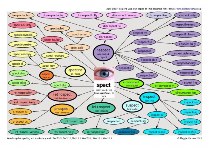 Root Word Study: Spect Worksheets | 99Worksheets