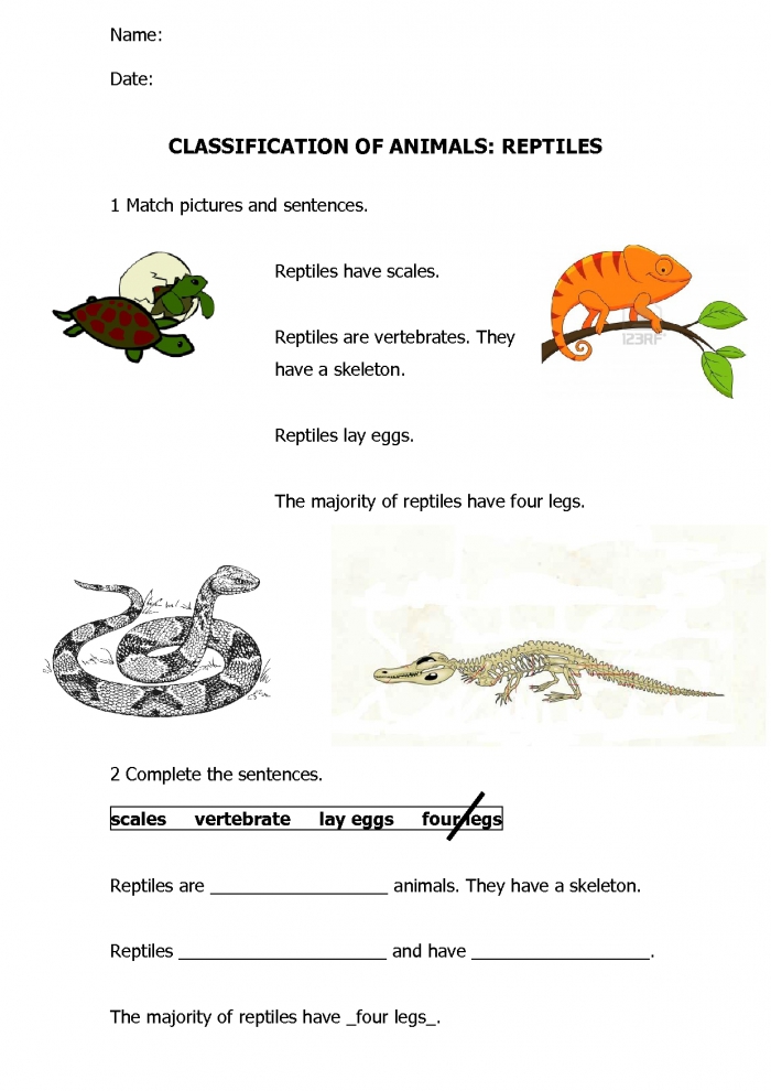 Worksheet