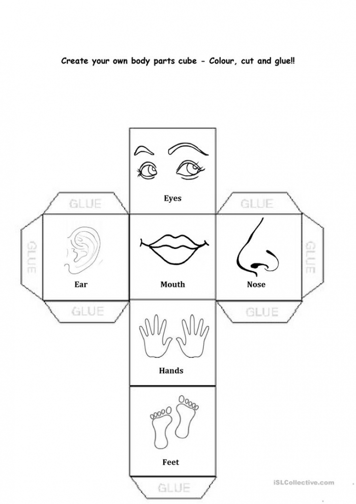 Learn Body Parts Worksheets 99worksheets