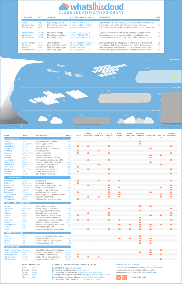 Cloud Identification Chart Infographic   Printable Pdf