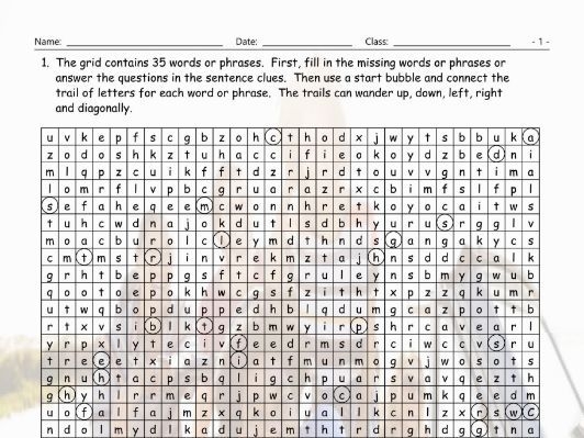 Conditional Sentences Types     Wacky Trails Worksheet