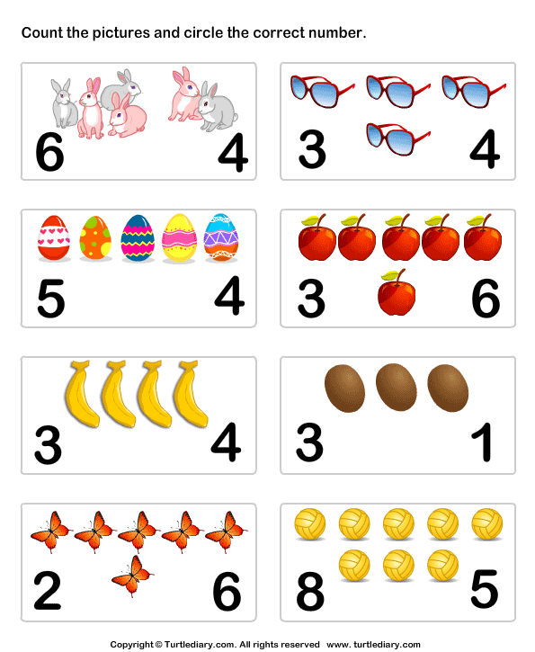 Count And Identify Number Of Objects Worksheet
