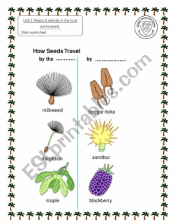 How Seeds Travel