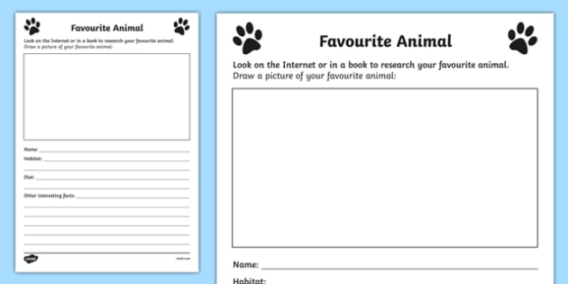 Favourite Animal Worksheet Teacher Made