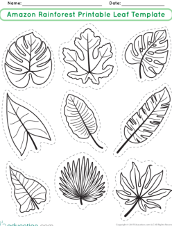 All About Leafcutter Ants
